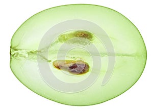 Translucent slice of green grape fruit