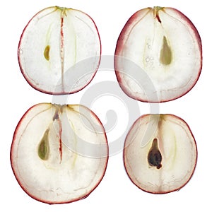 Translucent slice of red grape