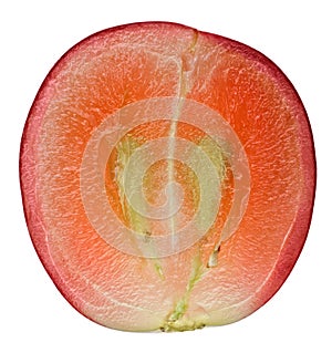 Translucent slice of red grape fruit photo