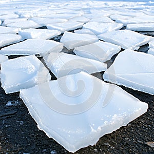 Translucent White Ice Pieces on Dark Surface