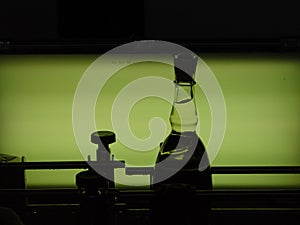 Translucent wine bottle