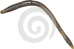 Transluscent rubber fishing worm
