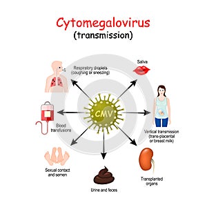 Transmission of cytomegalovirus infection photo