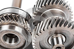 Transmission gears , isolated on a white background