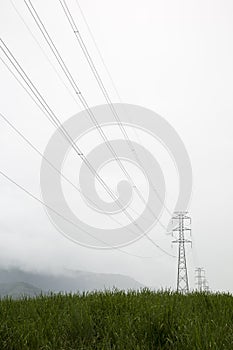 Transmission line in morning mist