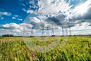 The transmission lines in green field in summer