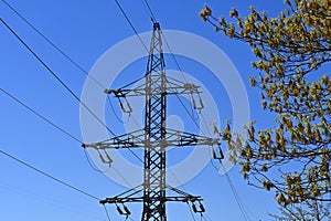 A transmission tower on the background of a spring tree