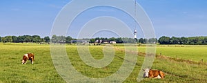 Transmission tower Smilde The Netherlands