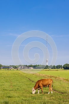 Transmission tower Smilde The Netherlands