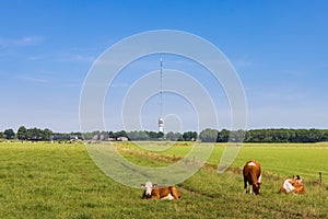 Transmission tower Smilde The Netherlands