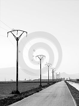 Transmission towers, power posts near a road photo