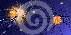 Transmitting synapse,neuron or nerve cell