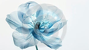 Transparent aery blue flower on white background. Aesthetic concept. Delicate watercolour. Generative AI