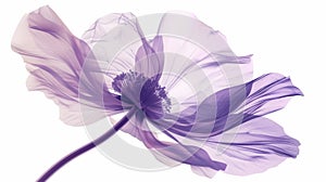 Transparent aery purple pink flower on white background. Aesthetic concept. Delicate watercolour. Generative AI