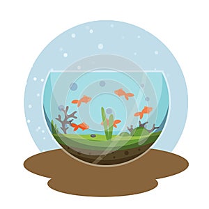 Transparent aquarium with golden fish vector illustration isolated on white. Fish aquarian house underwater tank bowl