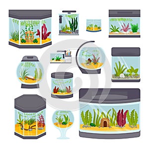 Transparent aquarium interior vector illustration isolated on white habitat house underwater fish tank bowl.