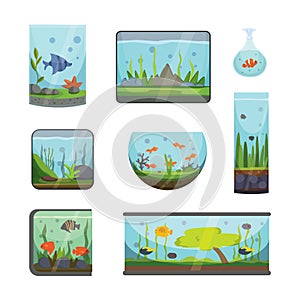 Transparent aquarium isolated on white fish habitat aquarian house underwater tank bowl vector illustration
