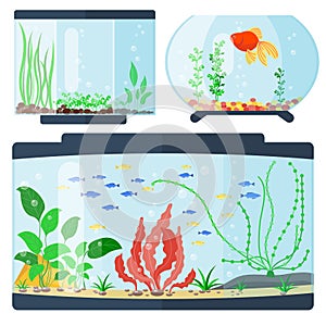 Transparent aquarium vector illustration habitat water tank house underwater fish tank bowl.