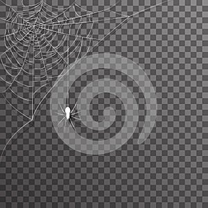 Transparent background corner decoration hanging spider web halloween vector illustration