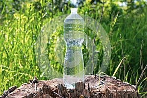 Transparent bottle with water on a tree stump in the grass at the summer, thirst quencher concept. Water balance maintained in hot