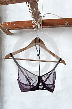 transparent bra on hanger. Fashionable female lacy underwear. Lingerie, women underwear.