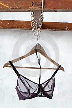 transparent bra on hanger. Fashionable female lacy underwear. Lingerie, women underwear.