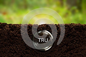 Transparent capsule with TRU formula underground - the concept of contamination