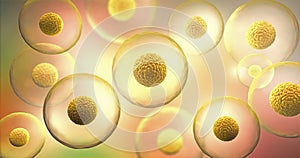 Transparent cells with nucleus on yellow background