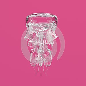 Transparent and cristall jellyfish on pink background photo