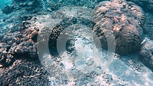 Transparent crystal blue ocean water with live reef. Underwater view of sea ripple with light making caustic on bottom