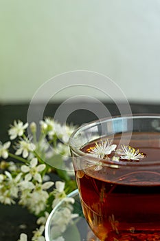 A transparent cup of teapot tea with a saucer and a white bird cherry flower on a black background. Copy space. Spring breakfast