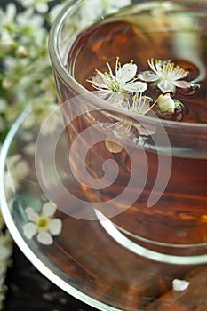A transparent cup of teapot tea with a saucer and a white bird cherry flower on a black background. Copy space. Spring breakfast