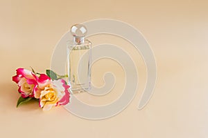 a transparent elegant bottle of women's perfume and two fresh roses. minimalism composition. presentation of