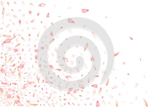 Transparent Flower Petal Vector White Background