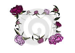 Transparent frame of colorful peony flowers, buds and leaves, hand drawn