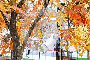 Transparent glass bottles hanging on a maple tree with artificial fall foliages