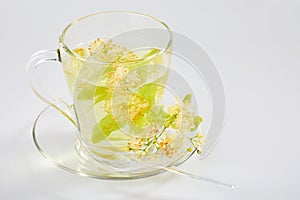 Transparent glass cup of tea with linden isolated