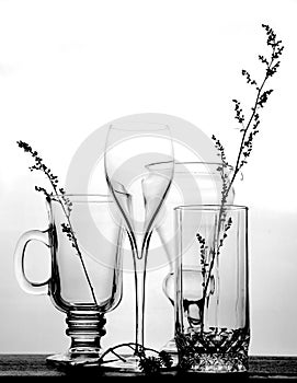 Transparent glass goblets and wine glasses and dry herbs on a light background, selective focus