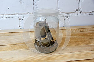 Transparent glass jar with Russian money rubles on the wooden background