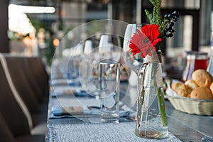 Transparent glass vase with colourful bouquet of flowers against