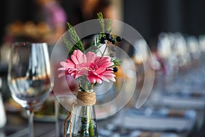 Transparent glass vase with colourful bouquet of flowers against