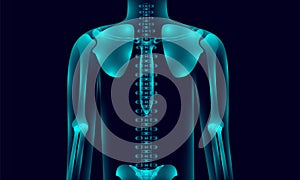 Transparent human body anatomy background lighting with hand shoulder hip chest backbone, xray tone style.  illustration