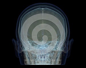 Transparent image of the Skull  Blue color.