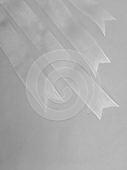 Transparent parallel ribbons