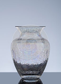 Transparent, pearlescent crackle glass vase.