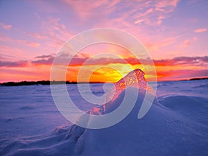 Transparent piece of ice on the snow against the backdrop of a winter sunset