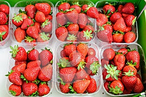 Transparent plastic boxes with fresh organic red strawberries displayed for sale at a street food market