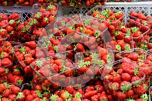 Transparent plastic boxes with fresh organic red strawberries displayed for sale at a street food market