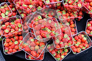 Transparent plastic boxes with fresh organic red strawberries displayed for sale at a street food market