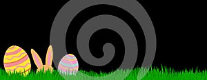 Transparent png frame with green grass, easter bunny and easter eggs. White